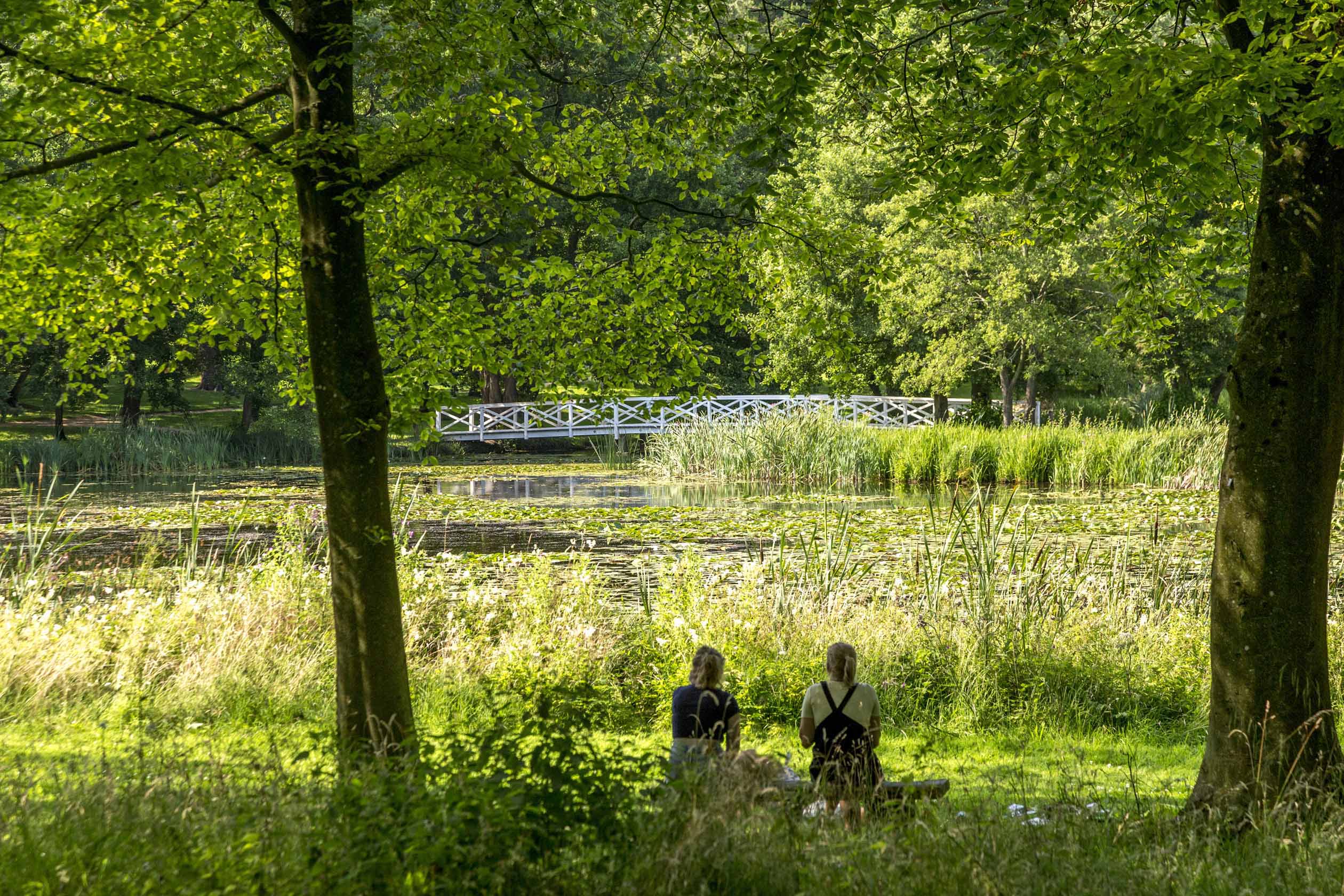 St Rumbolds Fields in Buckingham|New homes for sale in Buckingham ...