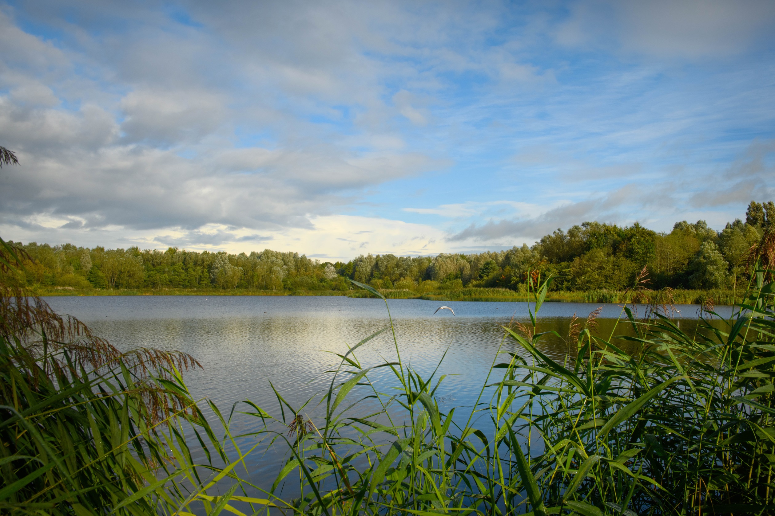 Amberswood Rise | New Homes in Wigan| Barratt Homes