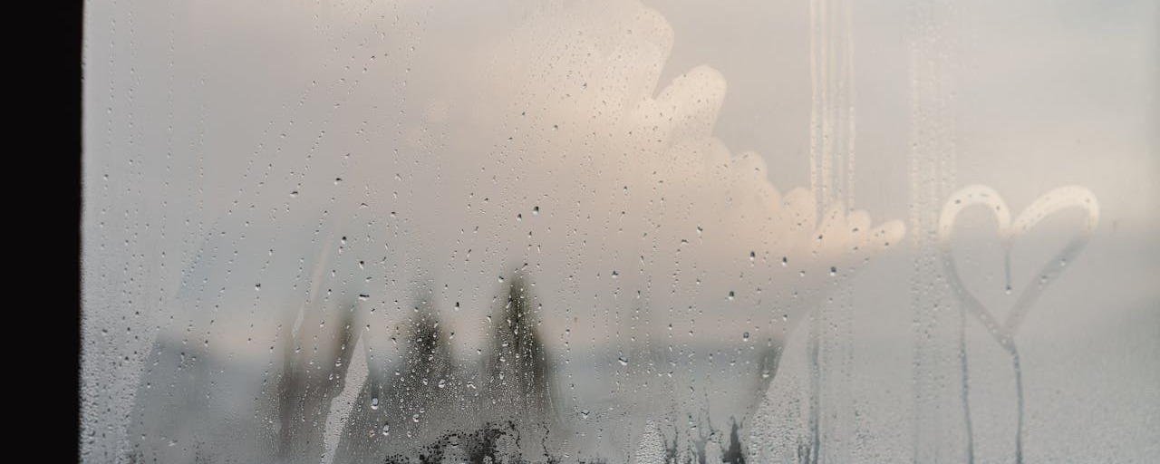 Condensation on Window