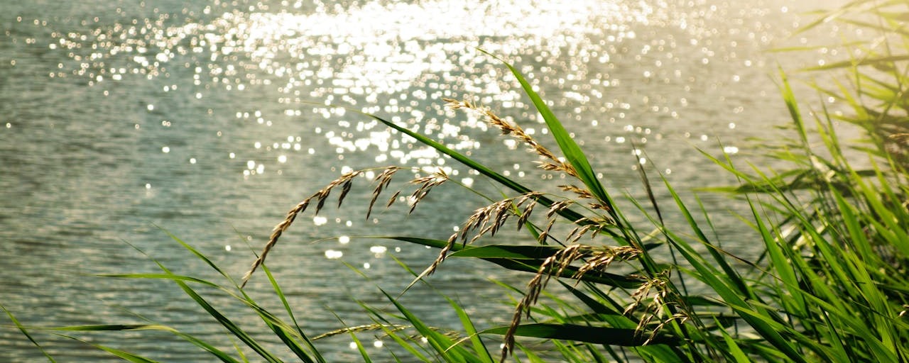 Riverwalks near Sunderland